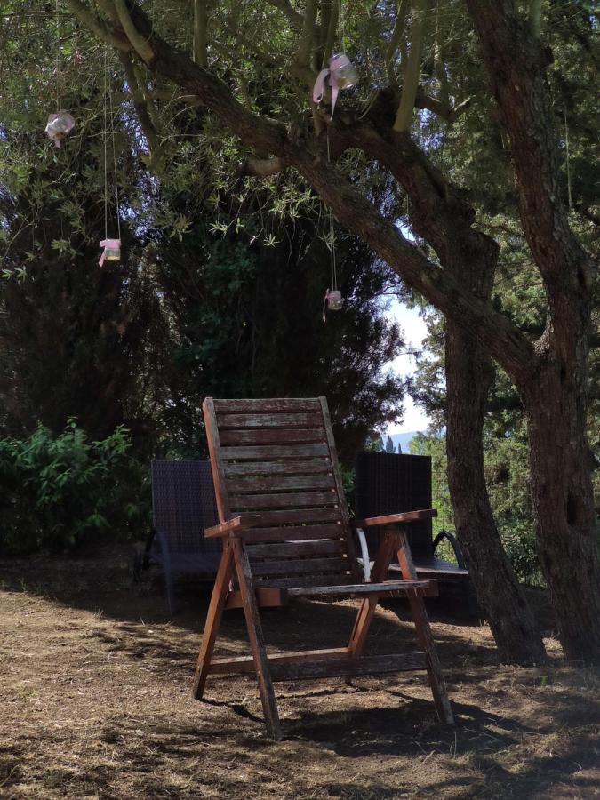 Podere Borgaruccio Peccioli Buitenkant foto
