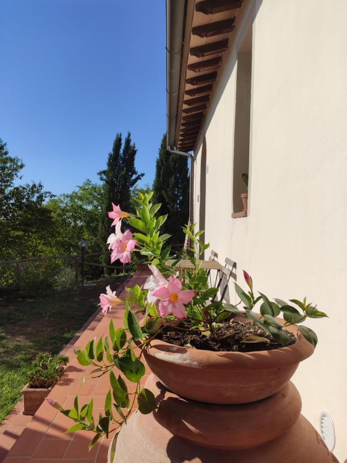Podere Borgaruccio Peccioli Buitenkant foto