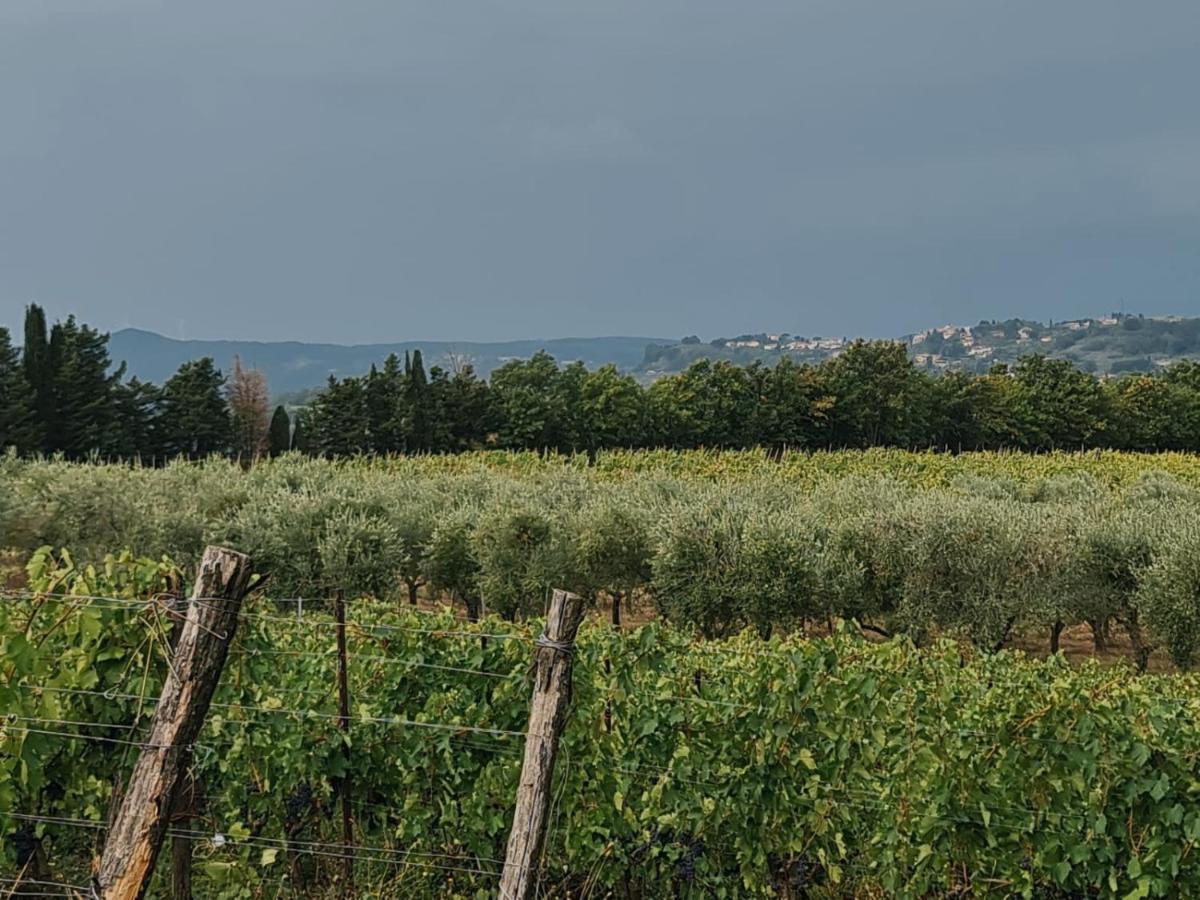 Podere Borgaruccio Peccioli Buitenkant foto
