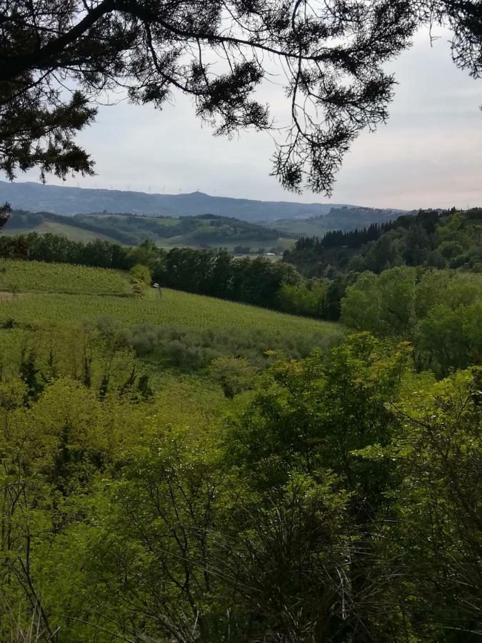 Podere Borgaruccio Peccioli Buitenkant foto
